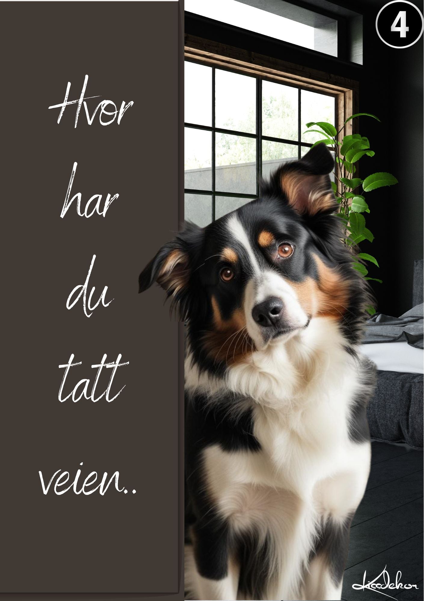 Personlig kjæledyrplakat Border Collie sort vindu - hund med tekst ved vindu fra KISS DEKOR