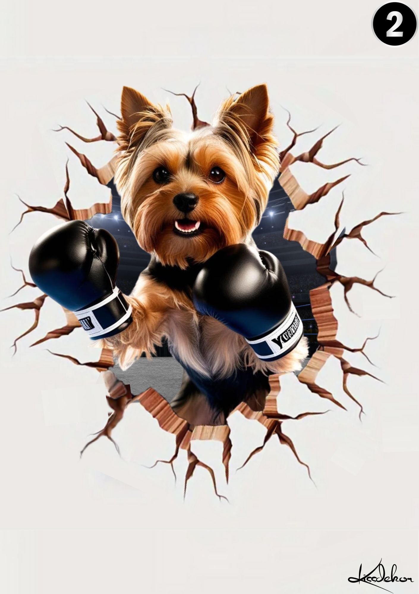 Kjæledyrplakat Yorkshire Terrier med bokse hansker - hund bryter gjennom veggen fra KISS DEKOR
