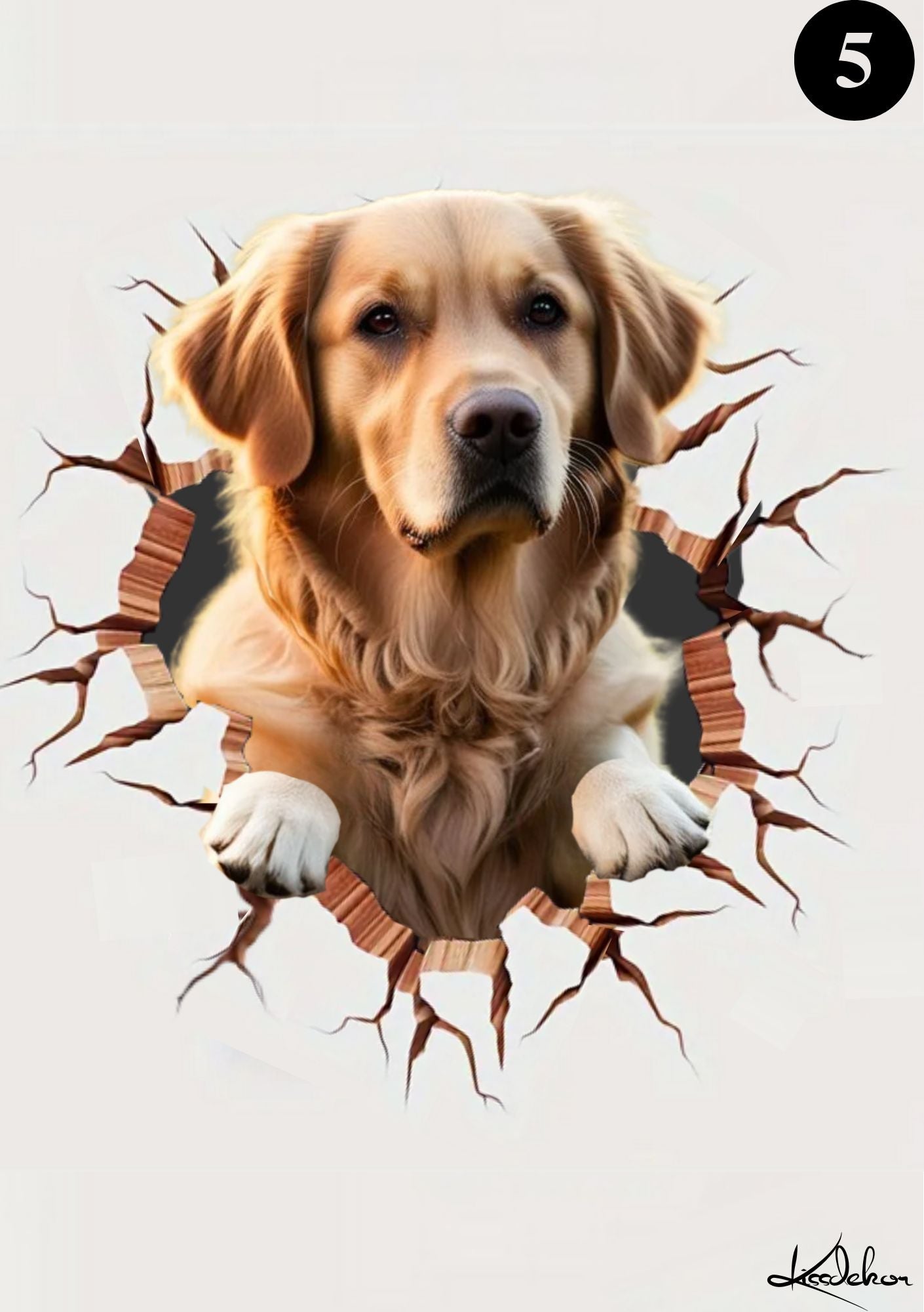 Kjæledyrplakat Golden Retriever - hund bryter gjennom veggen fra KISS DEKOR