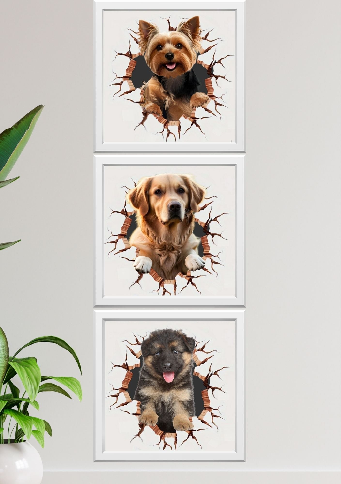 Kjæledyrplakat hund bryter gjennom veggen - tre design med Yorkshire Terrier, Golden Retriever og Schäferhund fra KISS DEKOR